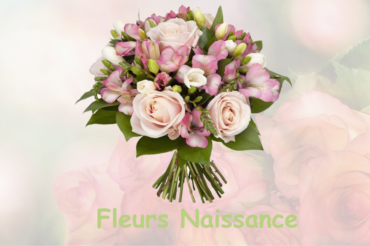 fleurs naissance SEMEZIES-CACHAN